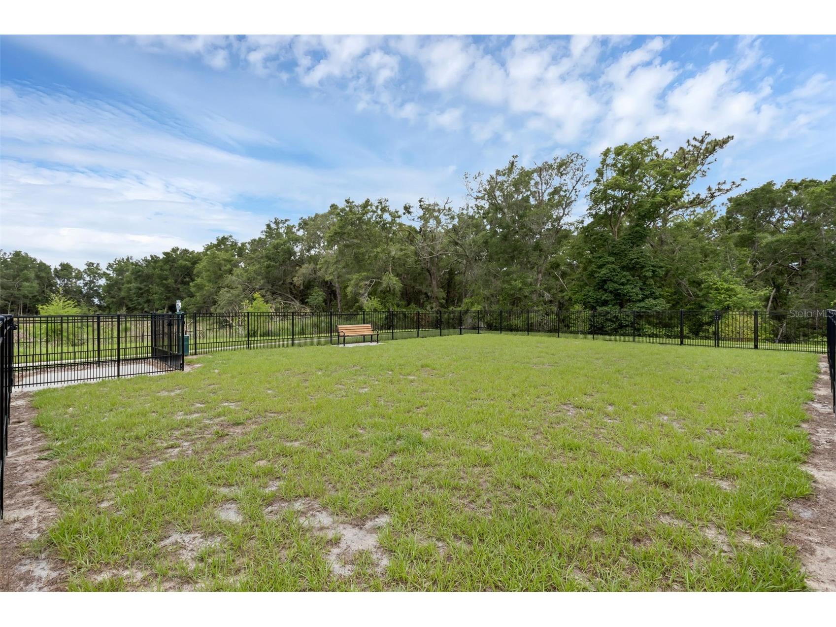 3239 Gardenia Reserve St Apopka FL 32712 O6412984 image31