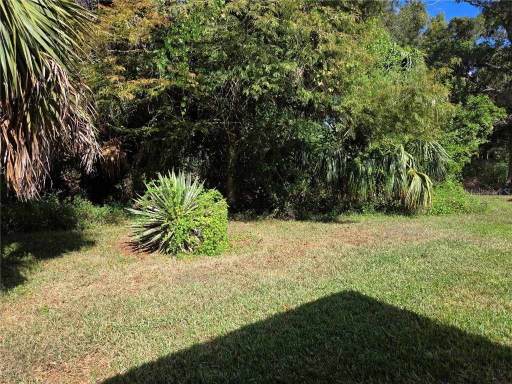 3239 Lori Lane #3239 New Port Richey FL 34655 W7880032 image22