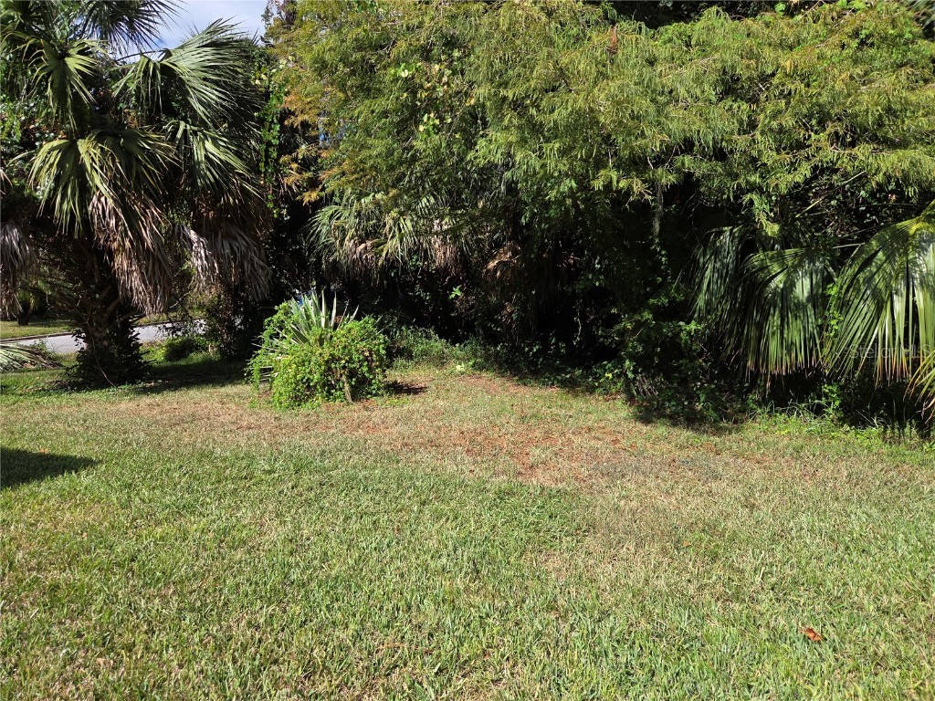3239 Lori Lane #3239 New Port Richey FL 34655 W7880032 image24