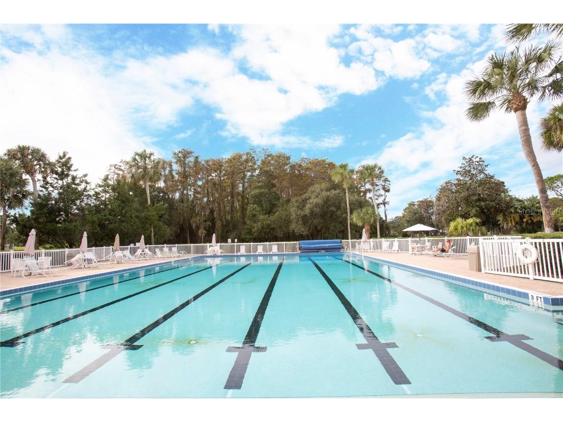 3239 Lori Lane #3239 New Port Richey FL 34655 W7880032 image29