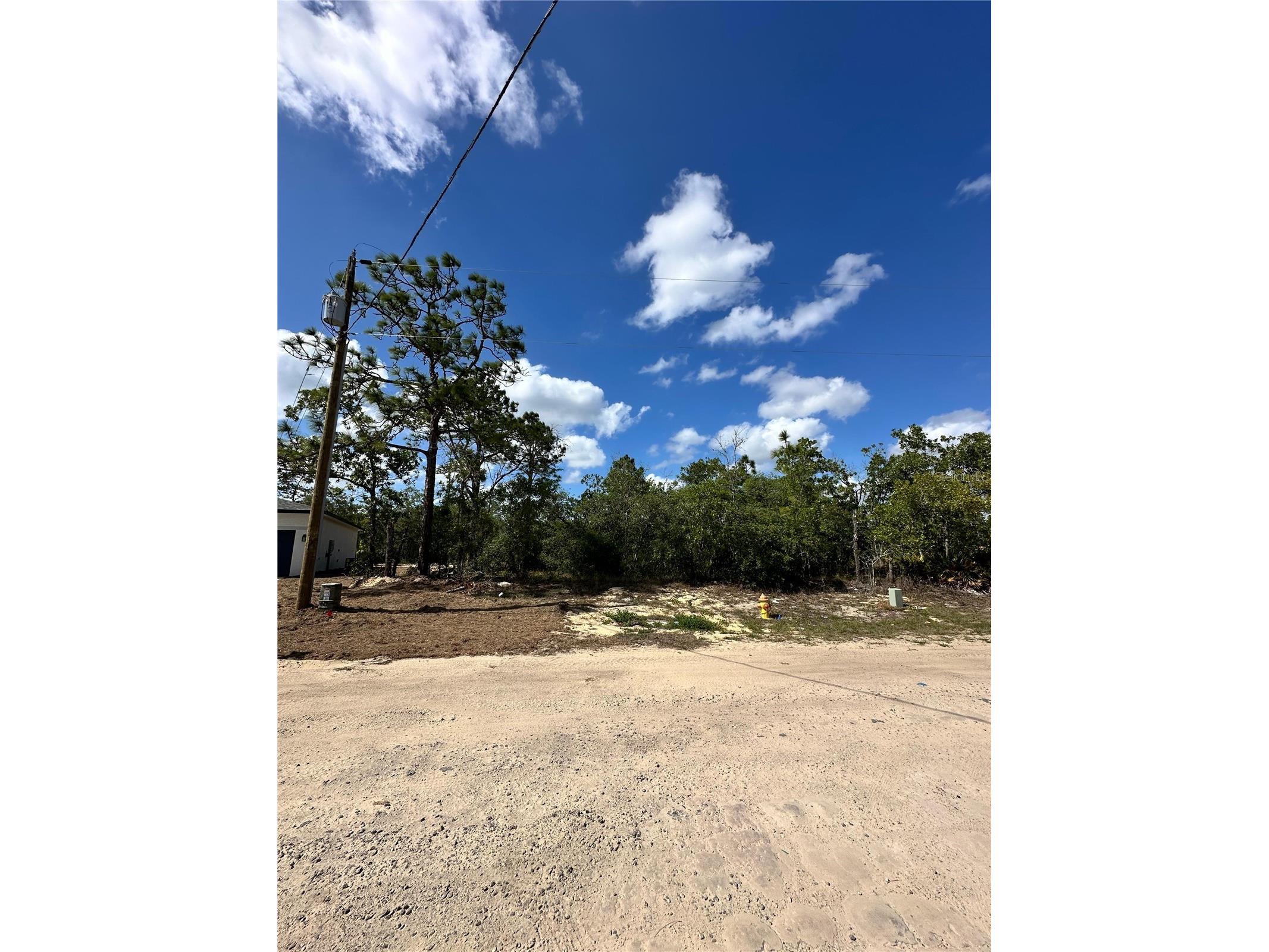 3239 W Kirkwood Place Dunnellon FL 34433 O6402887 image1
