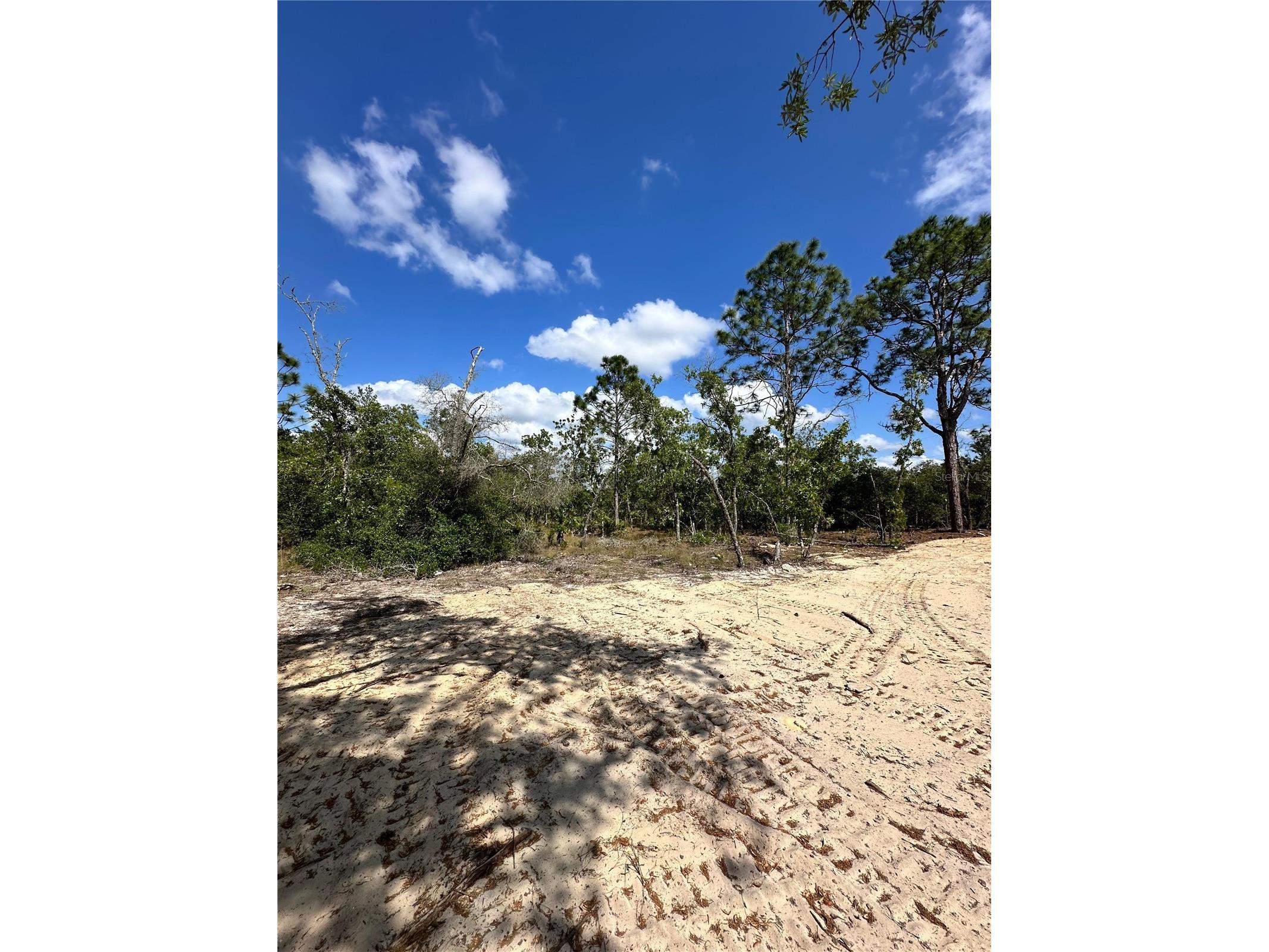 3239 W Kirkwood Place Dunnellon FL 34433 O6402887 image2