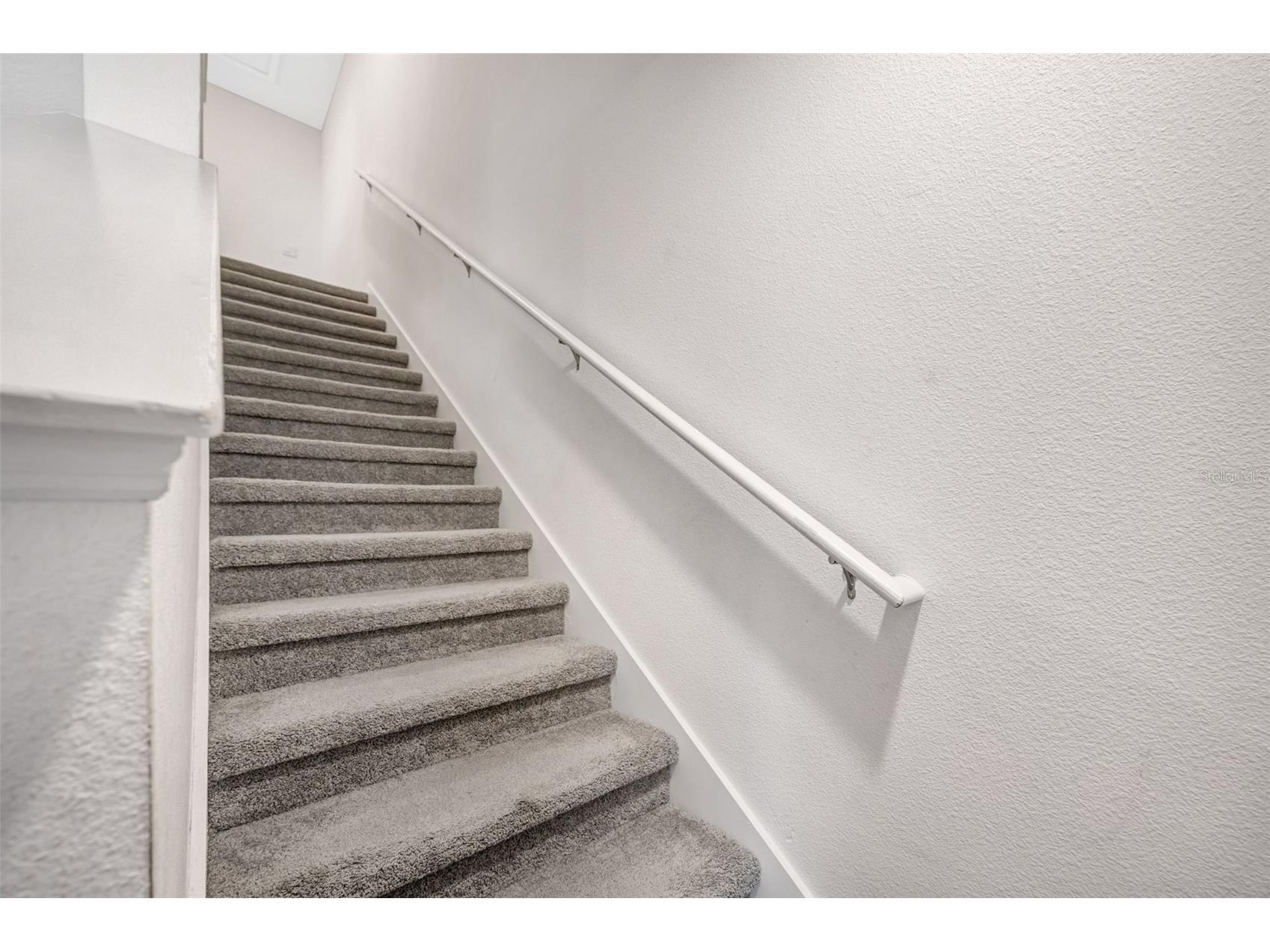 32395 Turtle Grace Loop Wesley Chapel FL 33545 TB8470831 image25