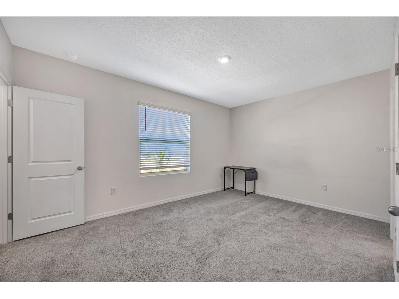 32395 Turtle Grace Loop Wesley Chapel FL 33545 TB8470831 image28