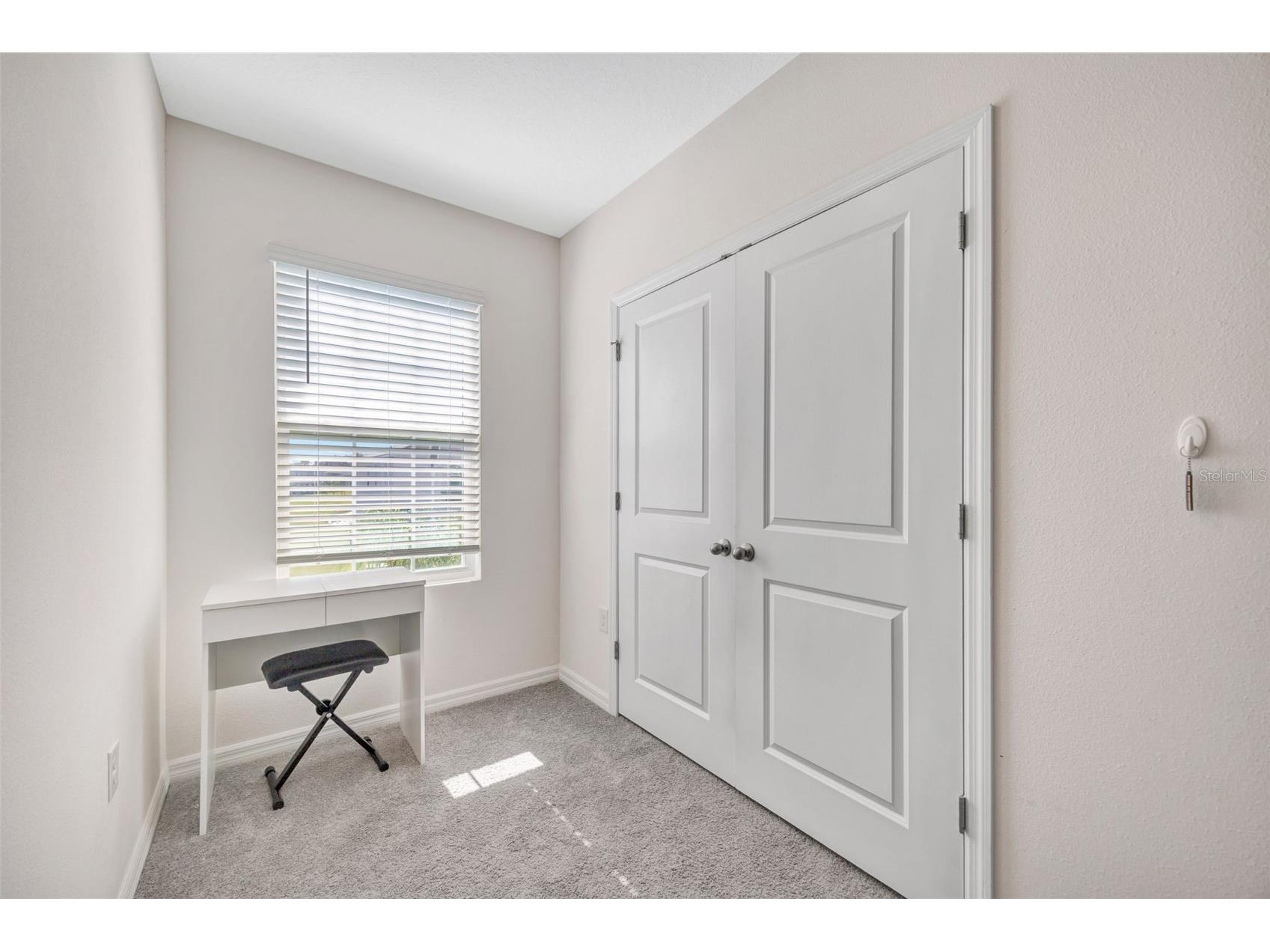 32395 Turtle Grace Loop Wesley Chapel FL 33545 TB8470831 image38