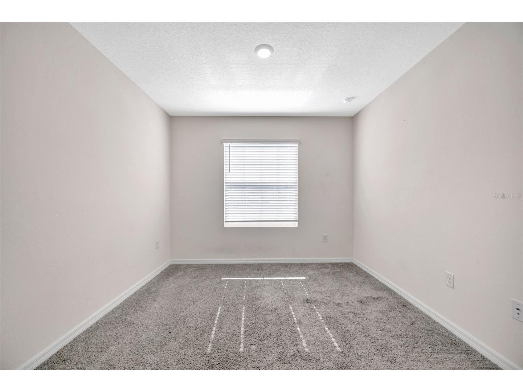 32395 Turtle Grace Loop Wesley Chapel FL 33545 TB8470831 image40