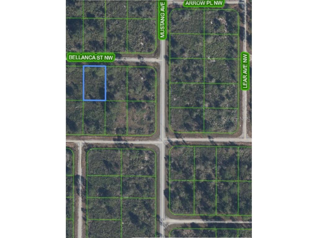 324 Bellanca Street NW #LOT 8 Lake Placid FL 33852 O6220376 image1