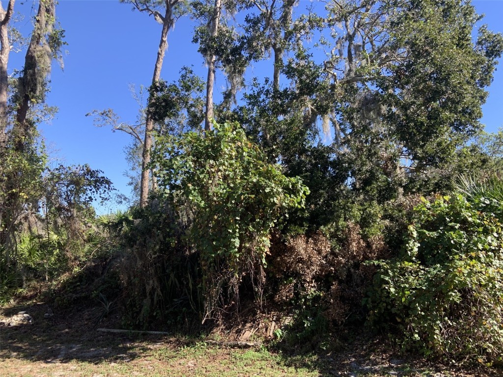 324 Bottlebrush Avenue Lake Placid FL 33852 T3420238 image1