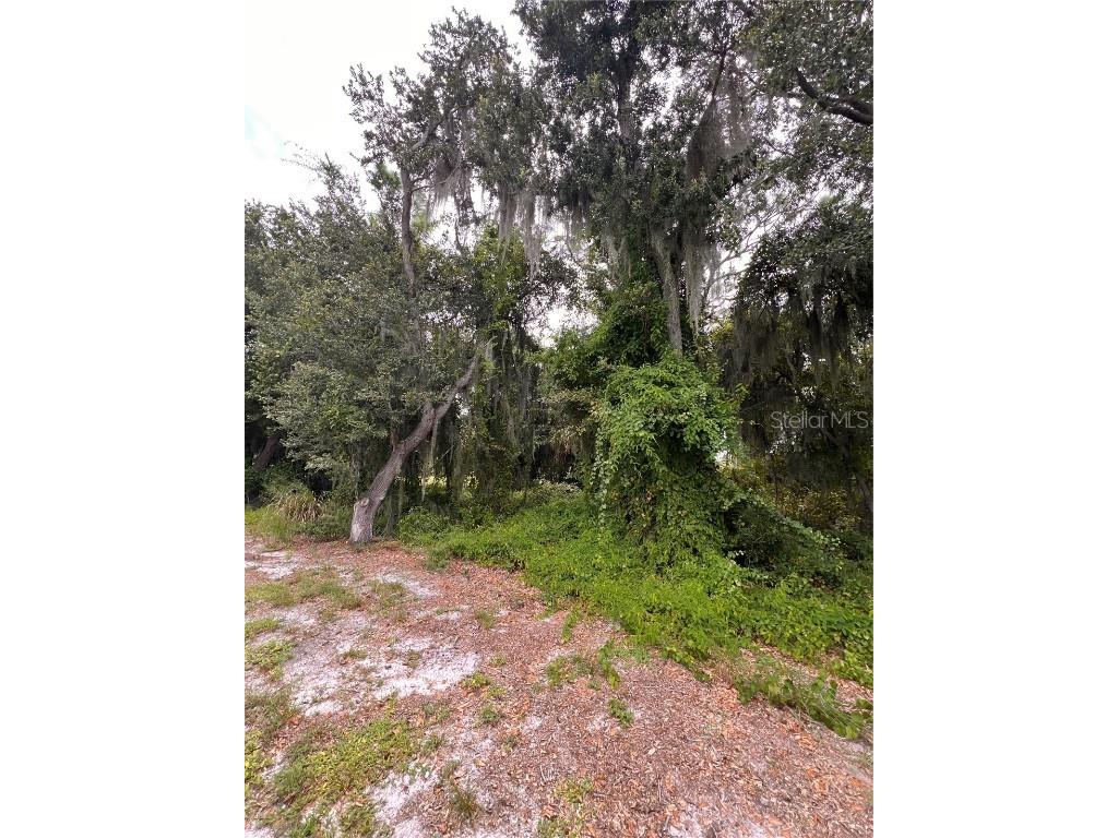 324 Cinema Drive Lake Placid FL 33852 O6342799 image1