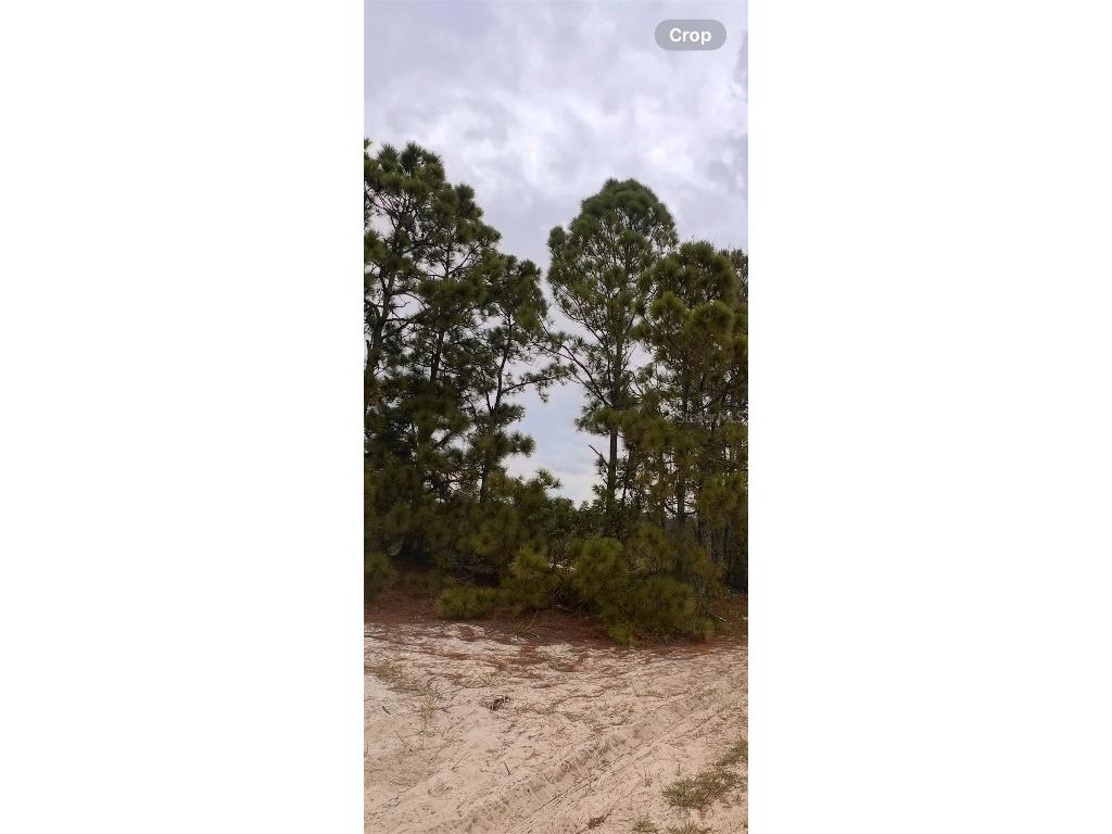 324 Cinema Drive Lake Placid FL 33852 O6342799 image2