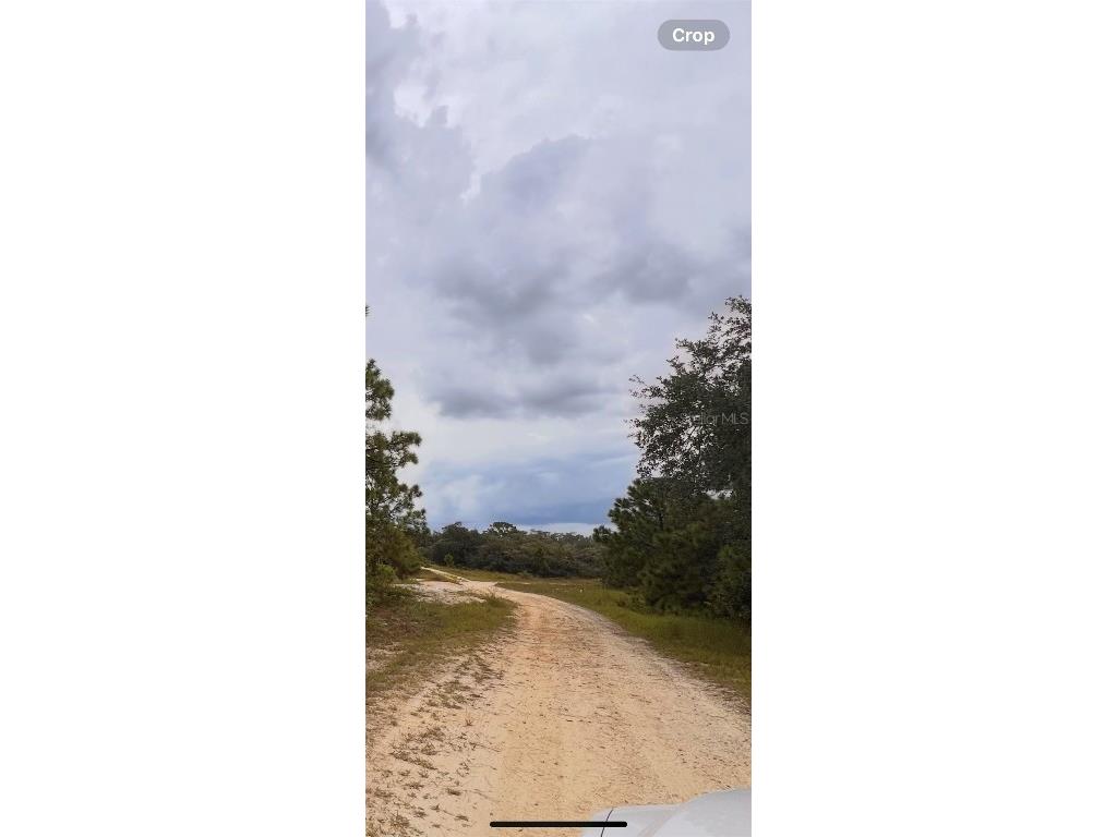 324 Cinema Drive Lake Placid FL 33852 O6342799 image3