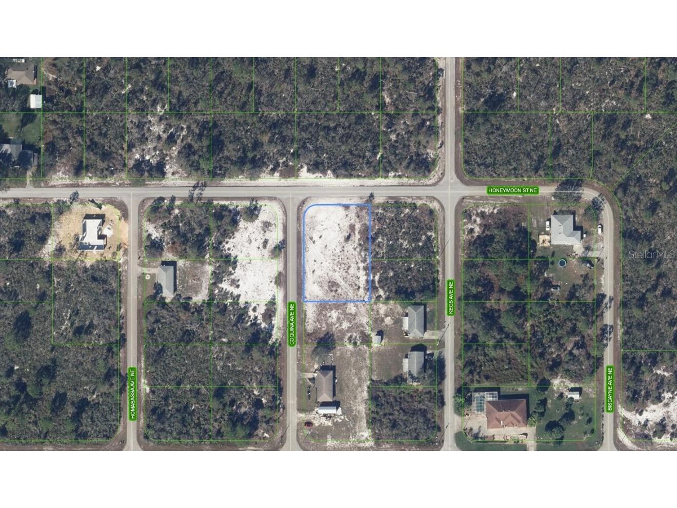 324 Coquina Avenue NE Lake Placid FL 33852 C7478313 image1