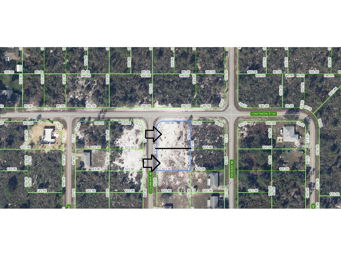 324 Coquina Avenue NE Lake Placid FL 33852 C7487353 image1