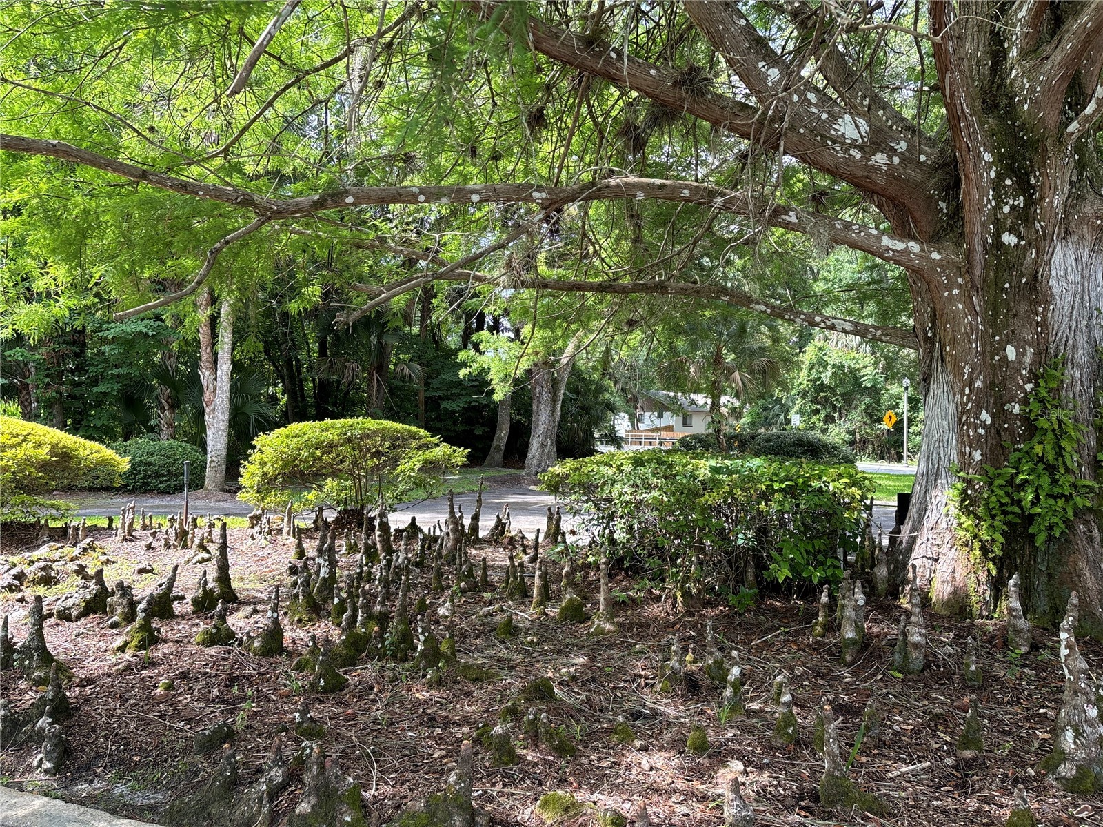 324 Dornoch Court Winter Springs FL 32708 O6411464 image42