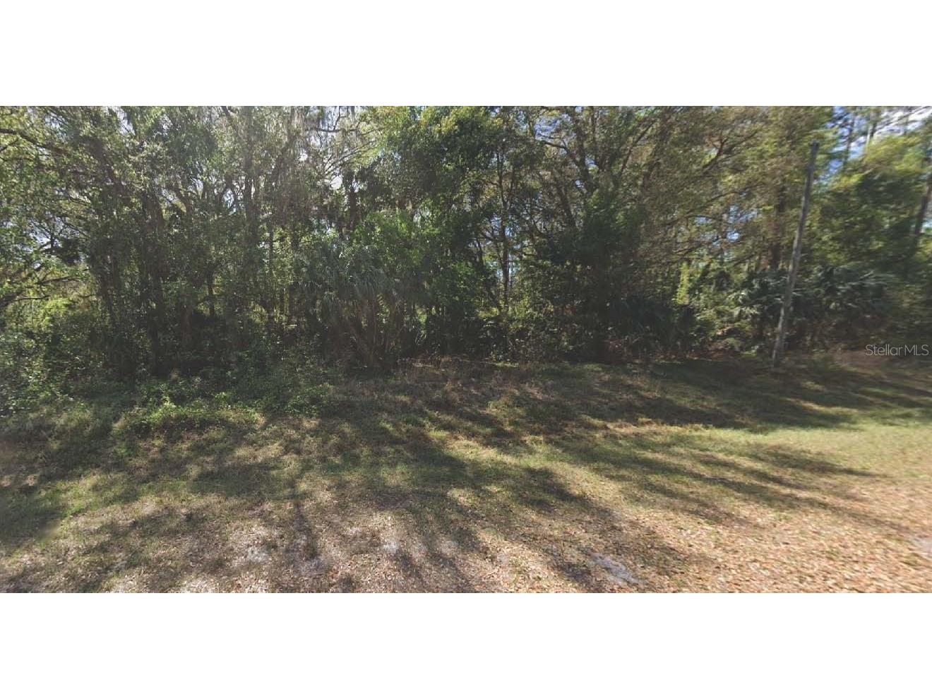 324 E Edgewood Drive Georgetown FL 32139 OM715763 image1