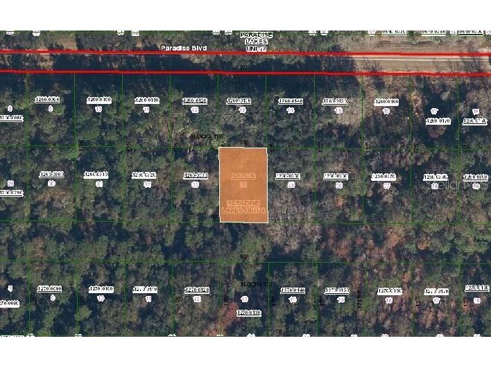 324 E Edgewood Drive Georgetown FL 32139 OM715763 image2