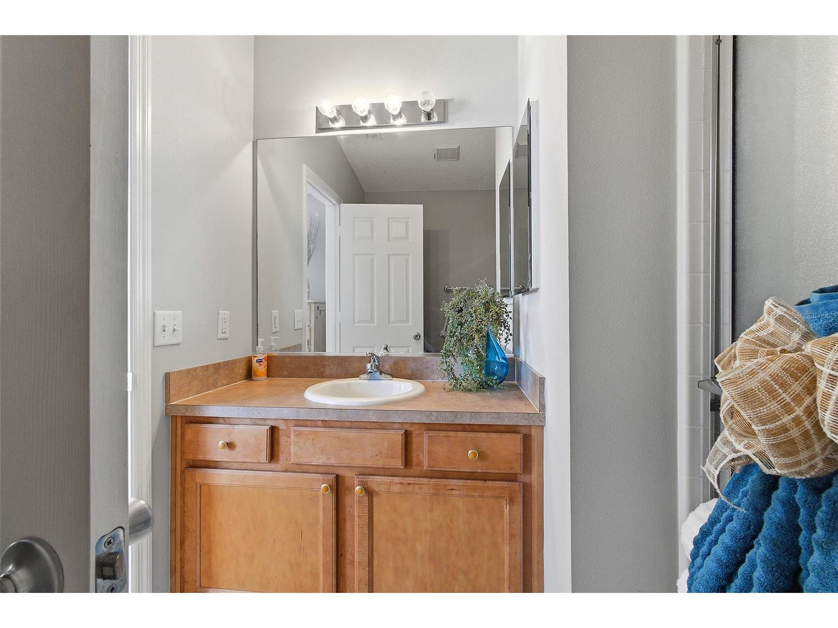 324 Emmalee Place The Villages FL 32162 G5110946 image14