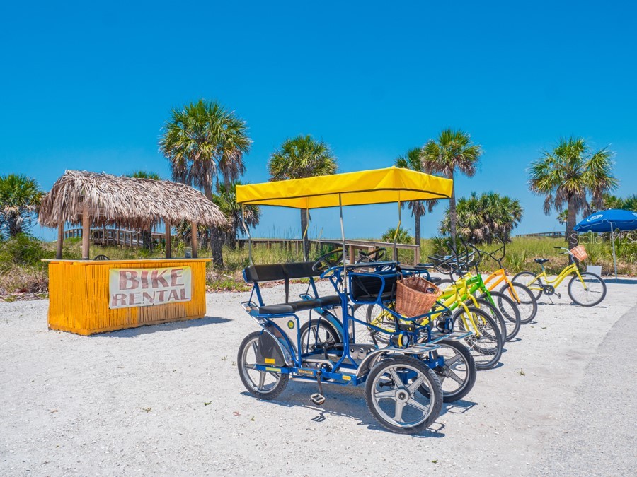 324 Madeira Circle Tierra Verde FL 33715 A4610949 image36