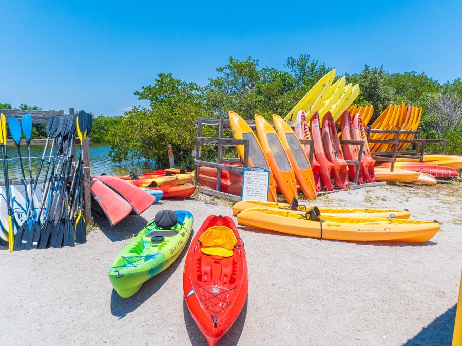 324 Madeira Circle Tierra Verde FL 33715 A4610949 image38