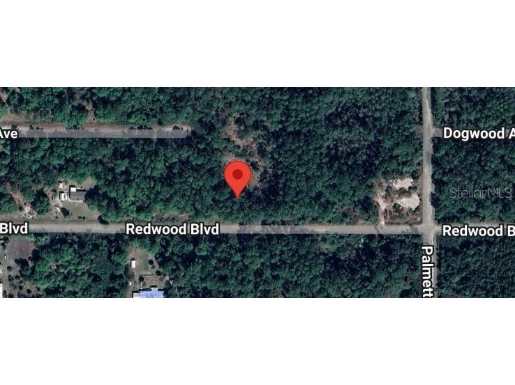 324 Redwood Boulevard Georgetown FL 32139 OM696398 image1