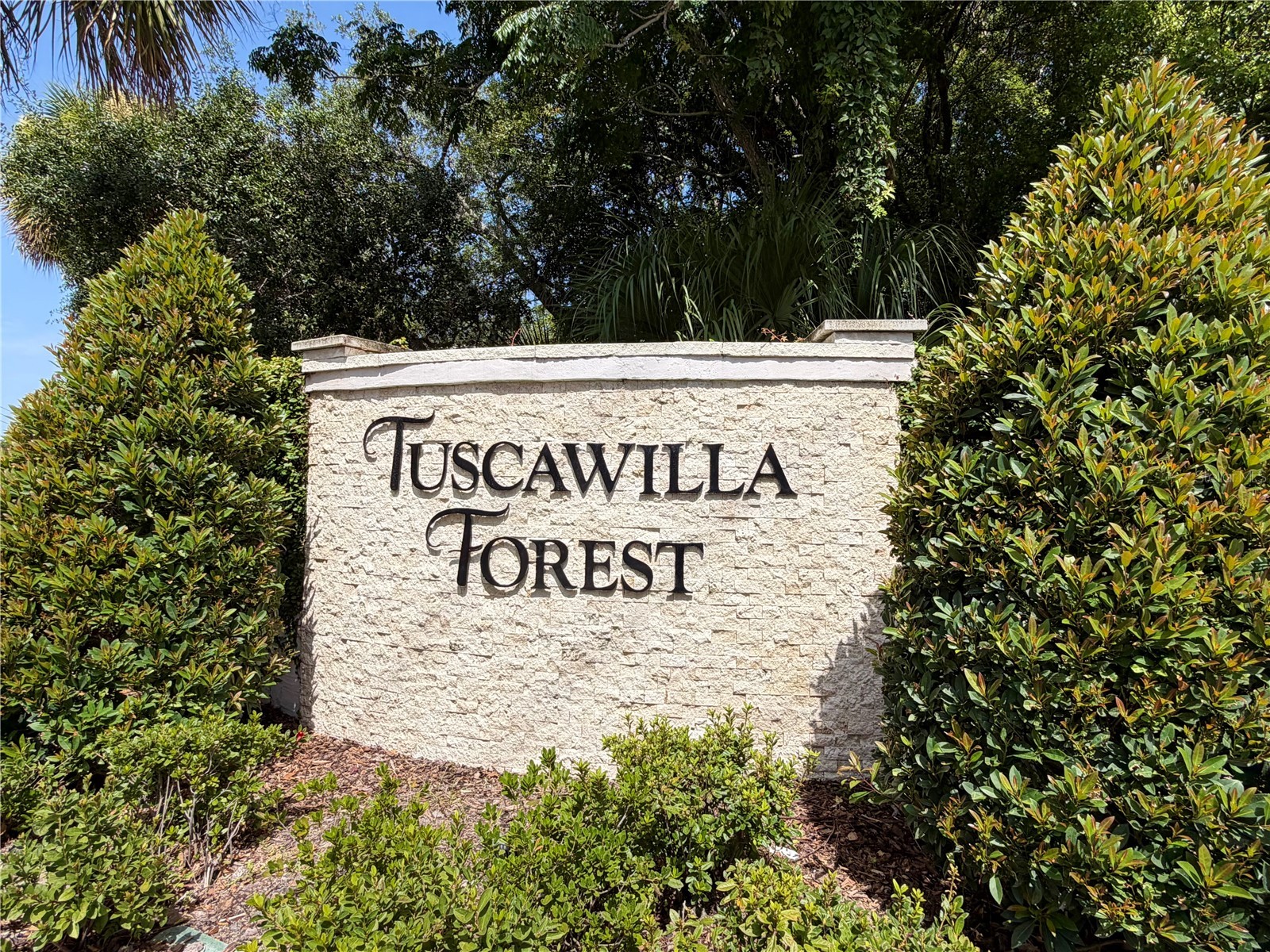 324 Ringwood Circle Winter Springs FL 32708 O6425839 image40