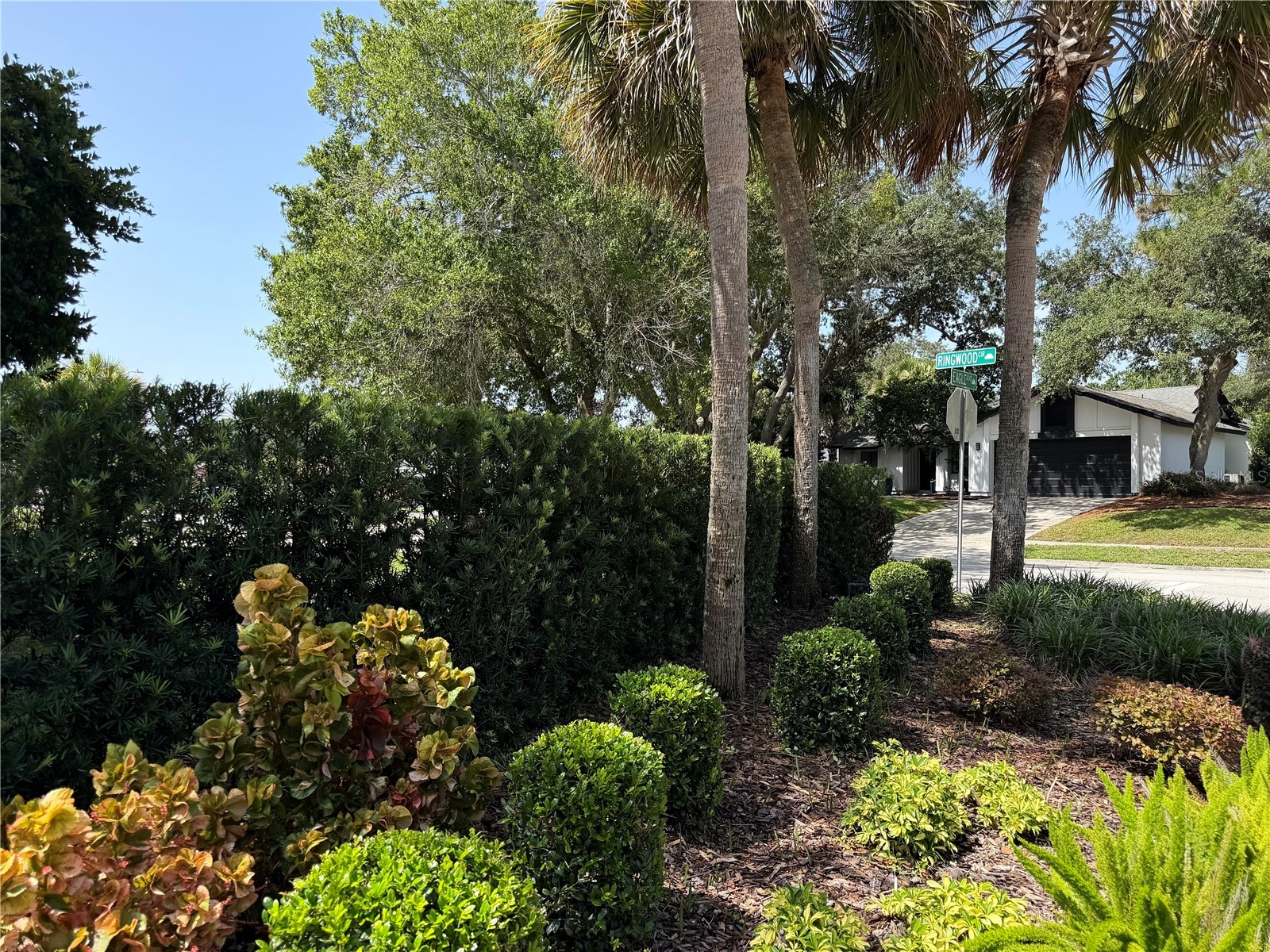 324 Ringwood Circle Winter Springs FL 32708 O6425839 image41