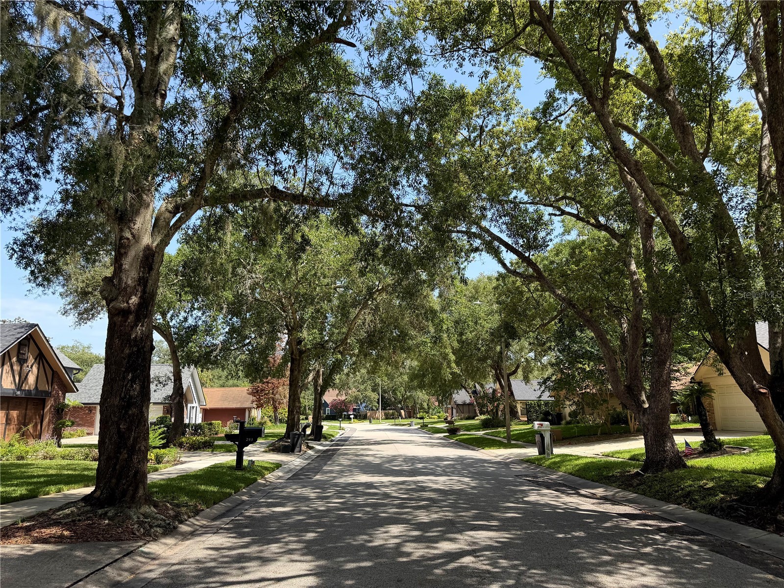 324 Ringwood Circle Winter Springs FL 32708 O6425839 image43