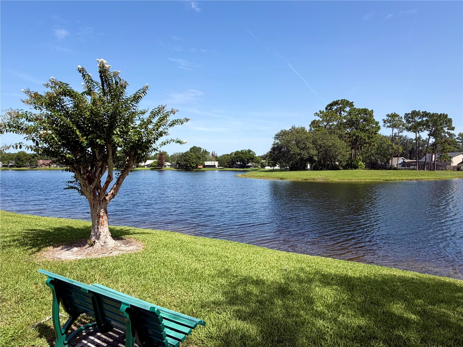 324 Ringwood Circle Winter Springs FL 32708 O6425839 image44