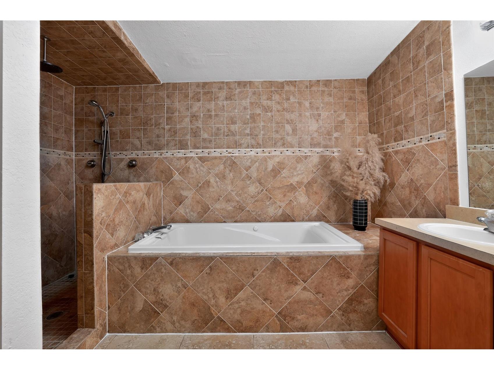 3240 Apfel Road Wesley Chapel FL 33543 O6403880 image25
