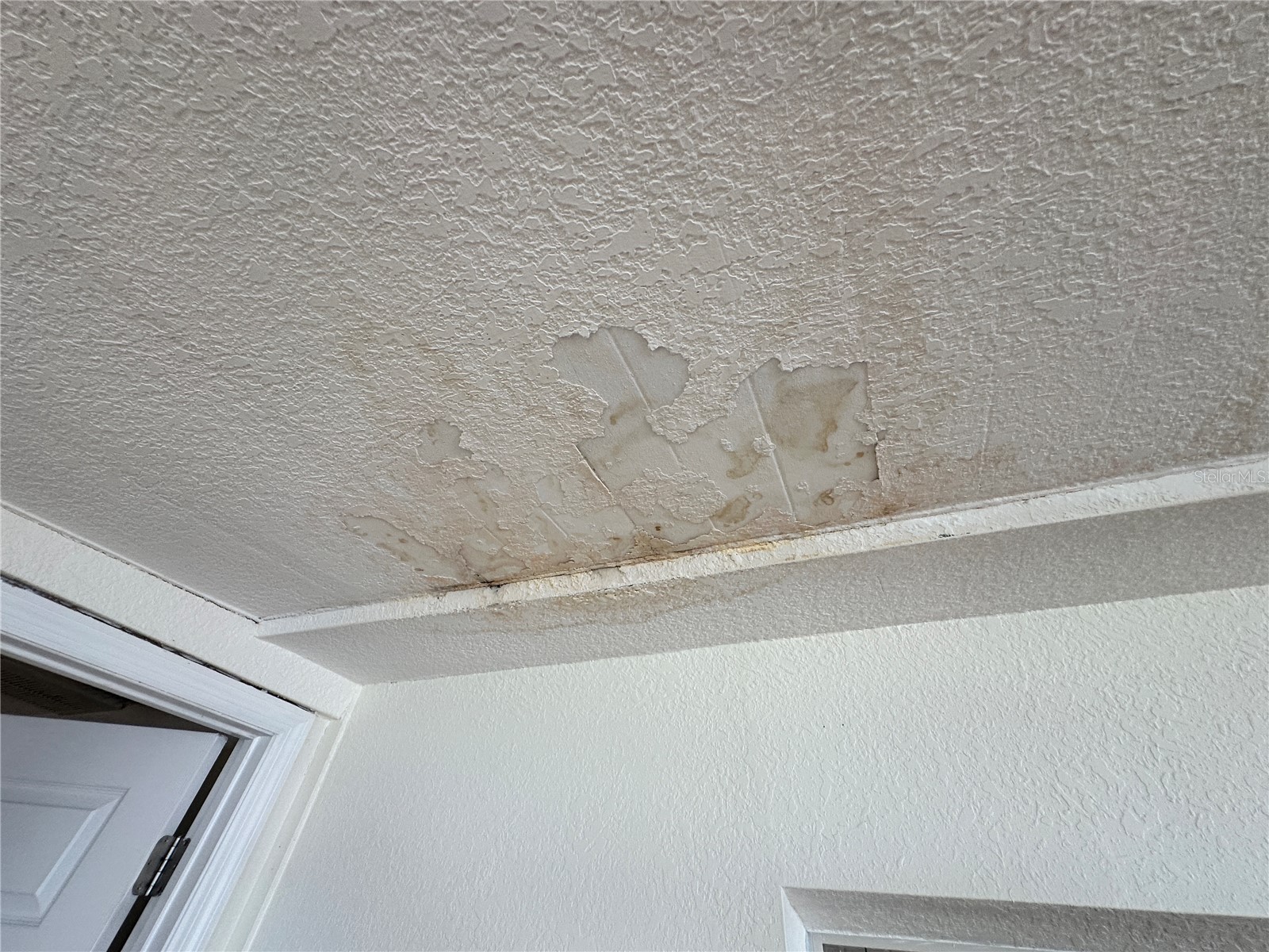 3240 Briar Cliff Drive Holiday FL 34691 TB8491452 image31