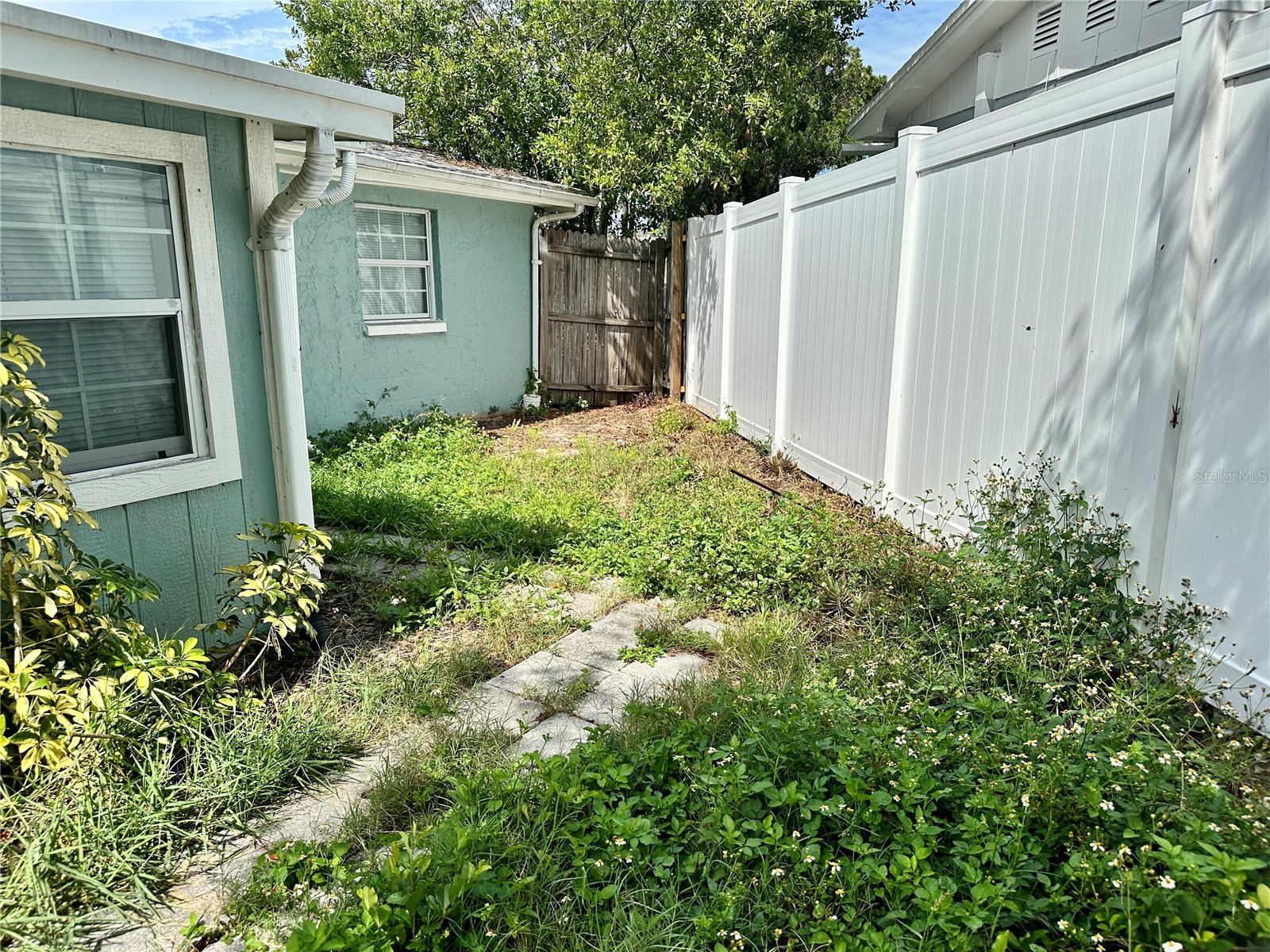 3240 Briar Cliff Drive Holiday FL 34691 TB8491452 image33
