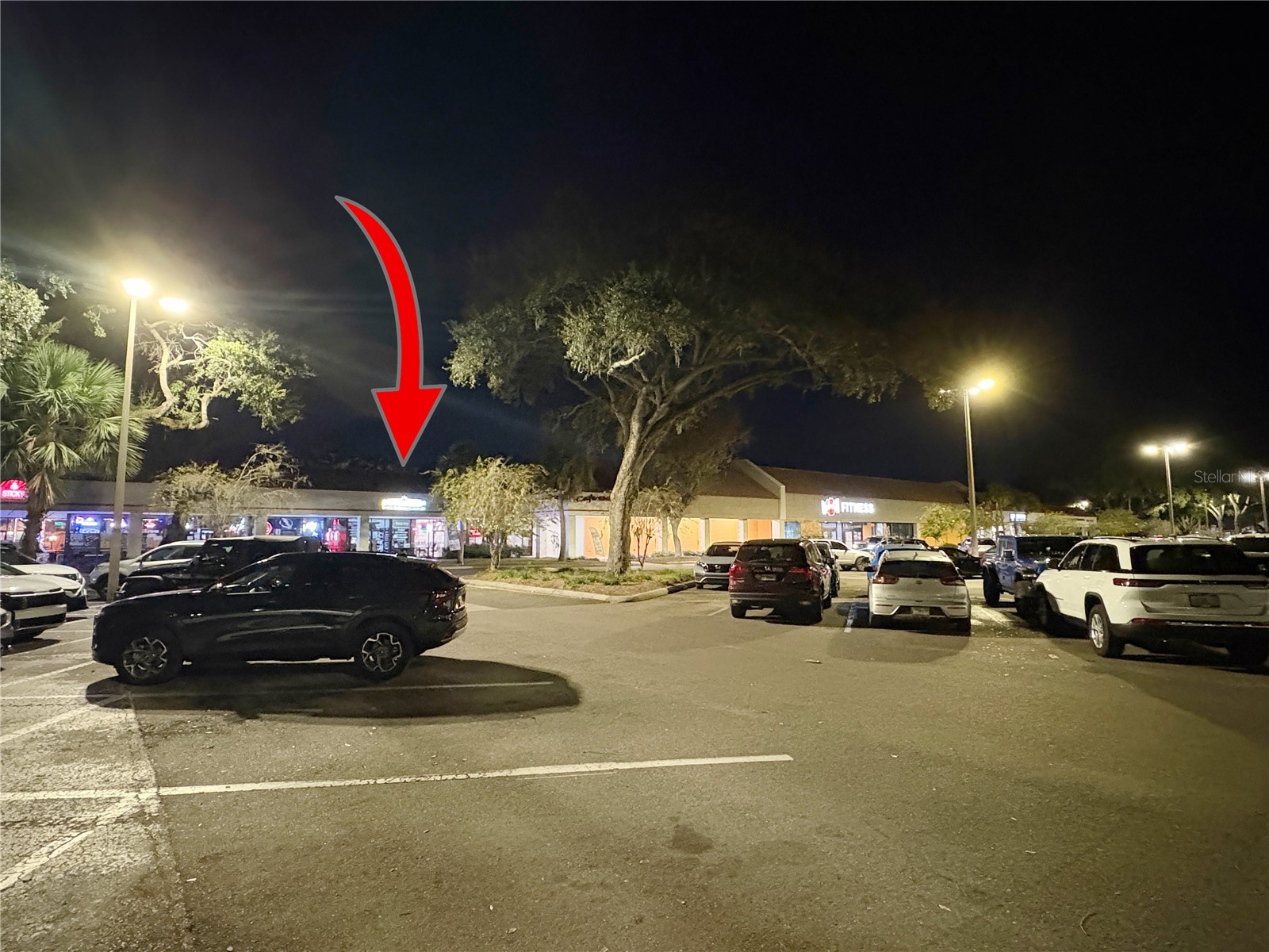 3240 Lithia Pinecrest Road Valrico FL 33596 TB8455959 image10