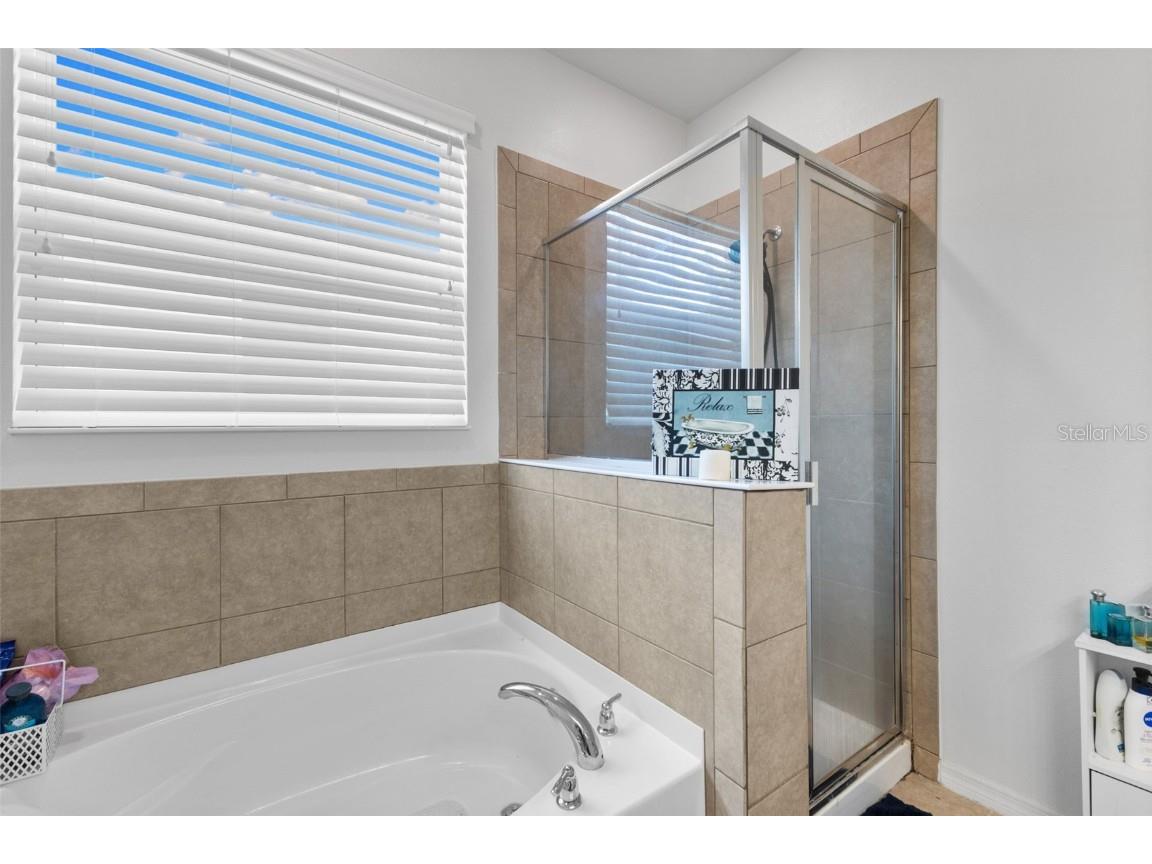 3240 Macintosh Road Land O Lakes FL 34639 TB8415496 image20