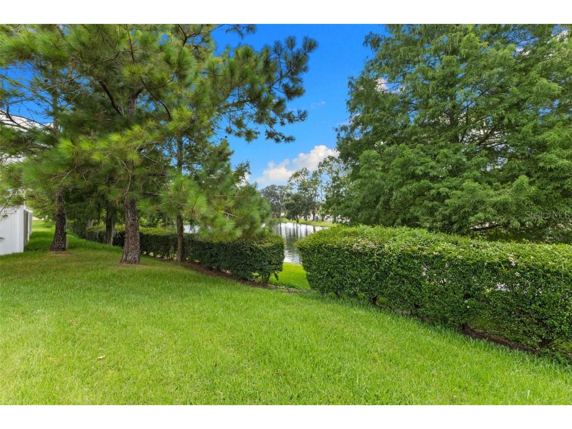 3240 Macintosh Road Land O Lakes FL 34639 TB8415496 image28