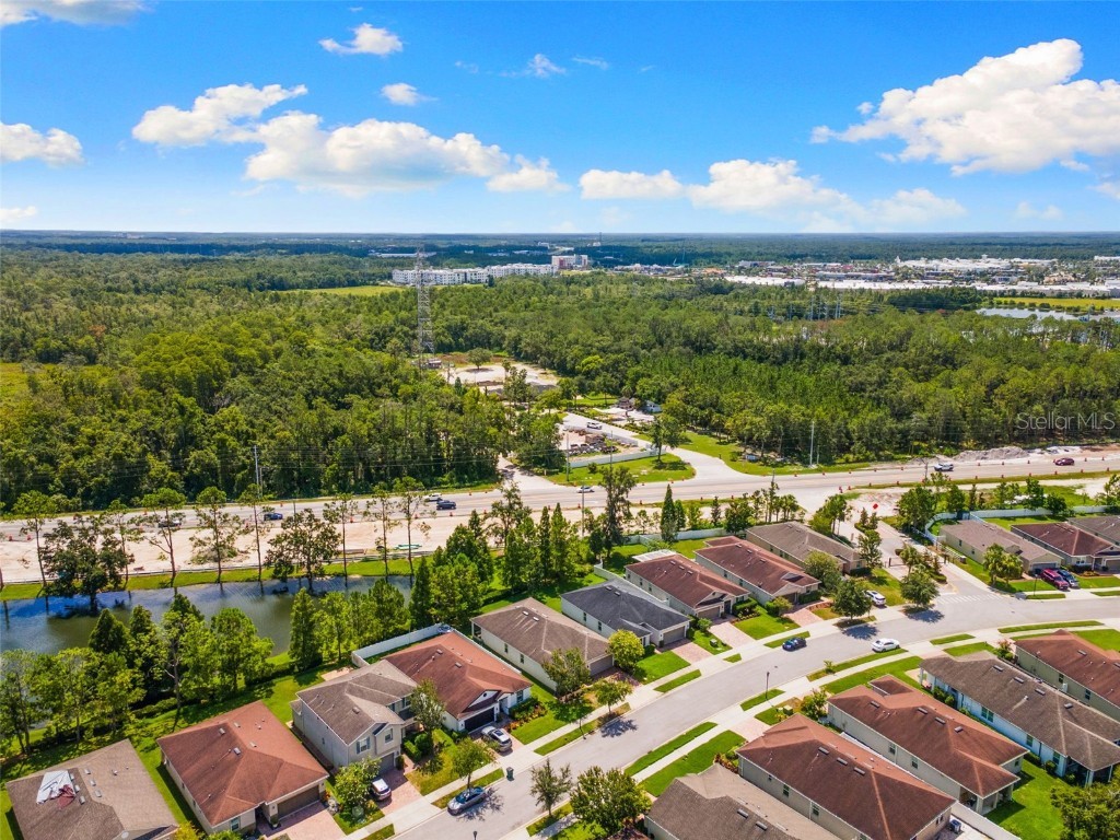 3240 Macintosh Road Land O Lakes FL 34639 TB8415496 image29