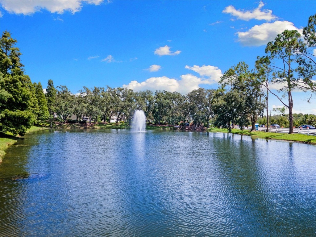 3240 Macintosh Road Land O Lakes FL 34639 TB8415496 image31