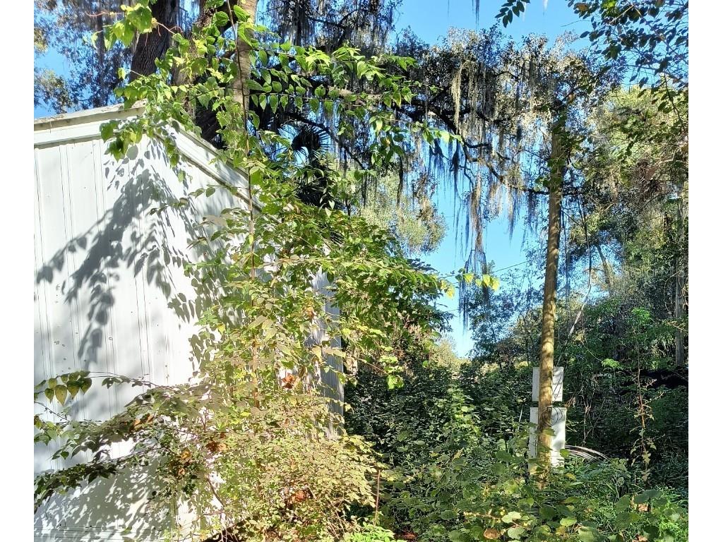 3240 NE 167th Street Citra FL 32113 A4671140 image14