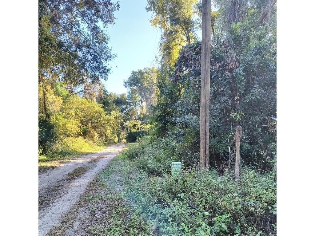 3240 NE 167th Street Citra FL 32113 A4671140 image3