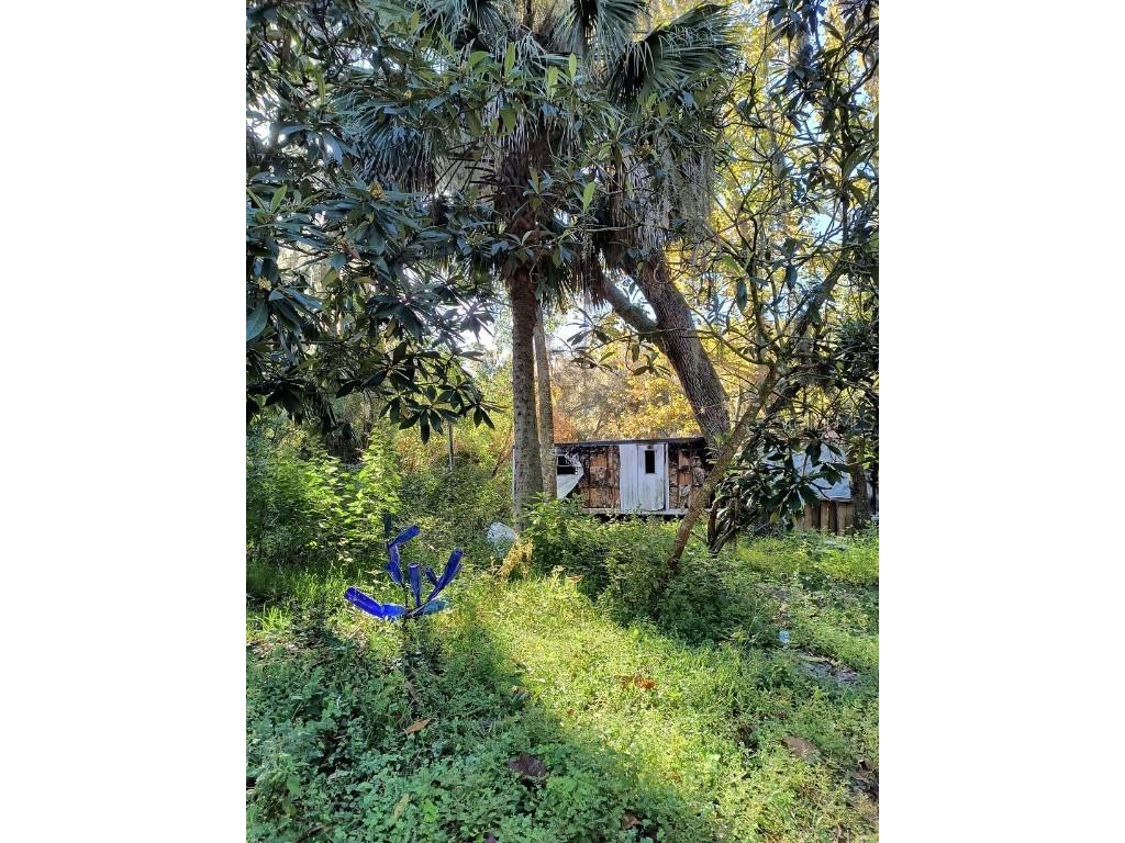 3240 NE 167th Street Citra FL 32113 A4671140 image6