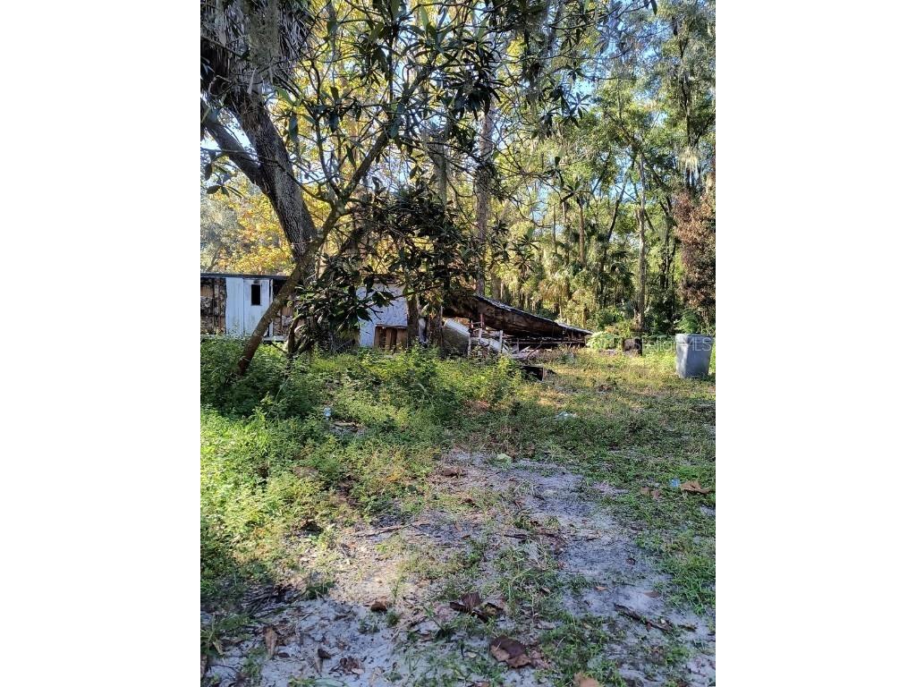 3240 NE 167th Street Citra FL 32113 A4671140 image7