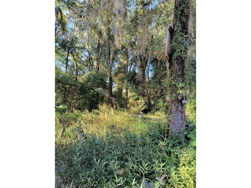 3240 NE 167th Street Citra FL 32113 A4671140 image8