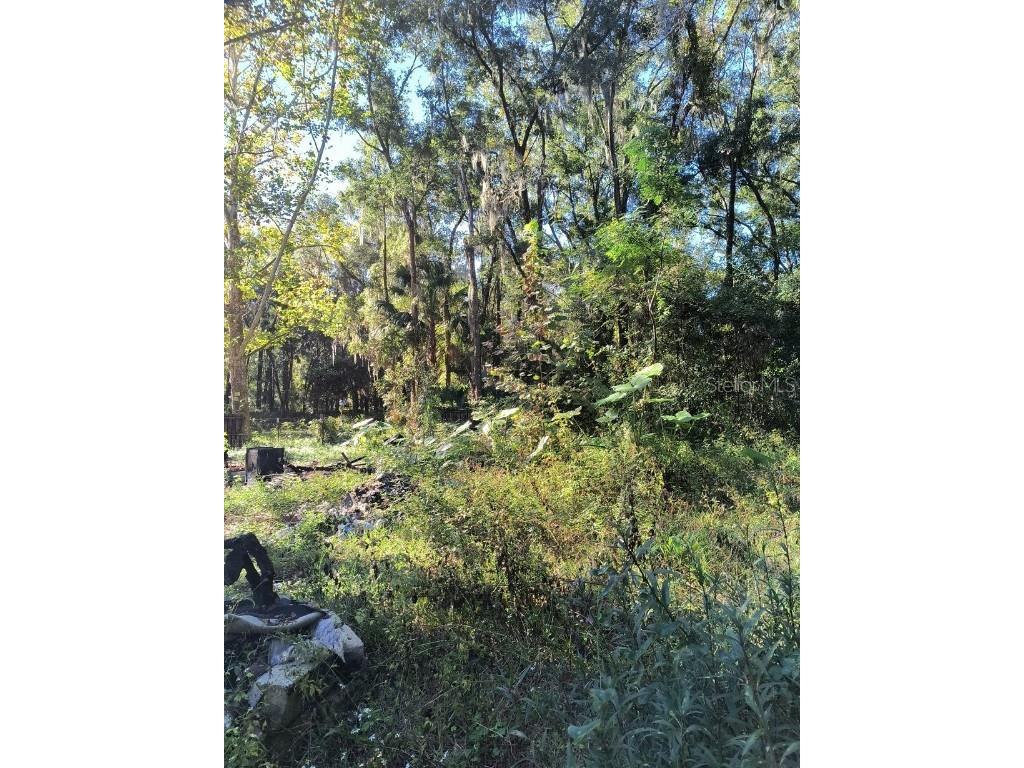 3240 NE 167th Street Citra FL 32113 A4671140 image9