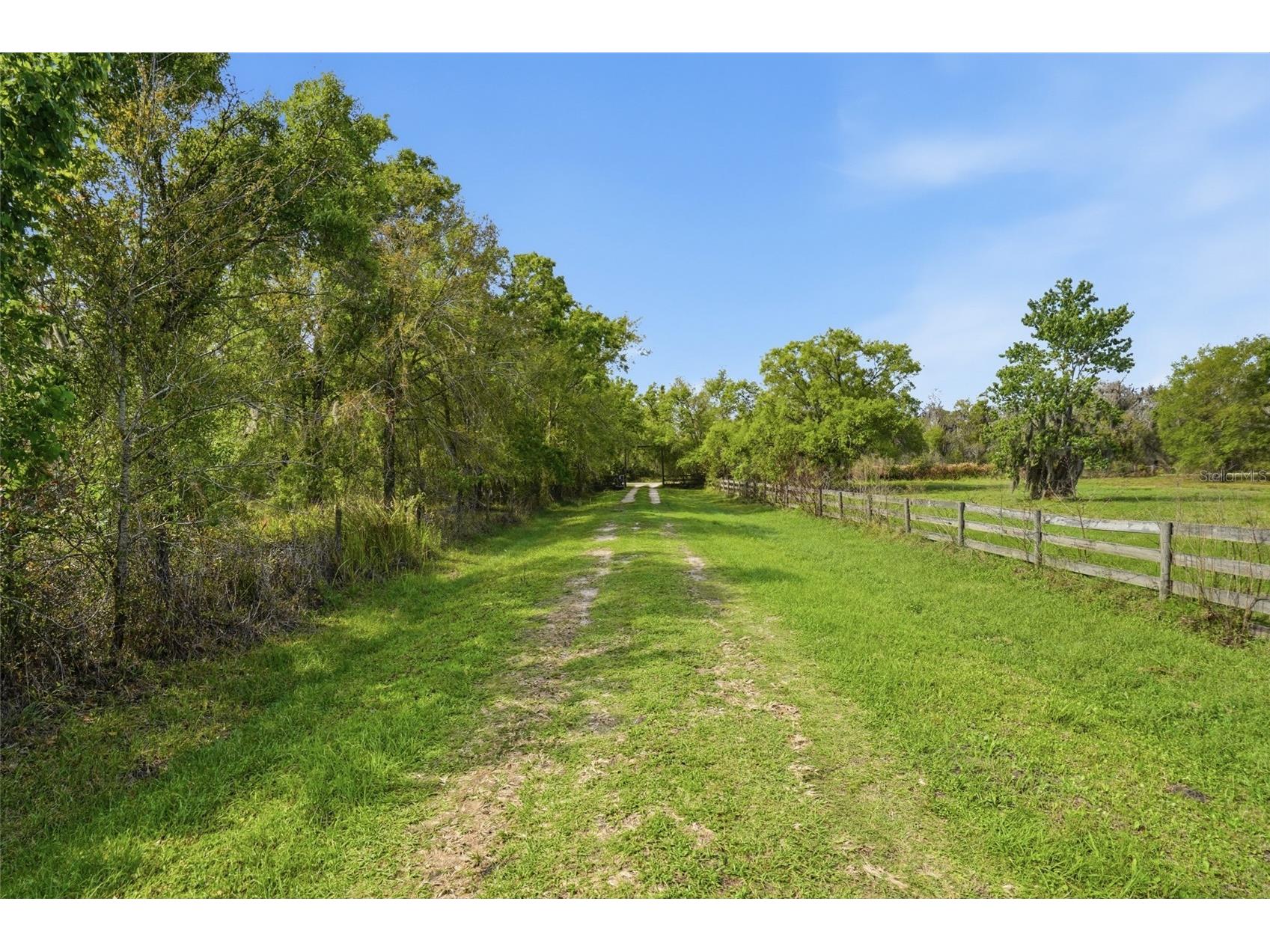 32400 Taylor Grade Road Duette FL 34219 A4685893 image4