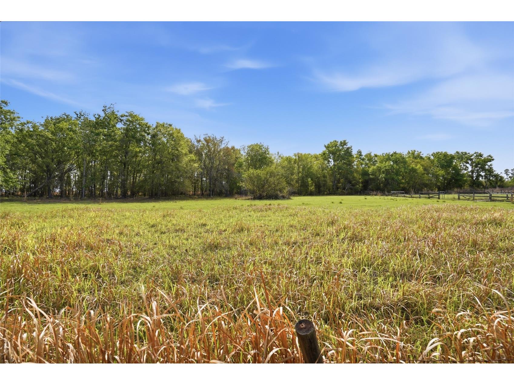 32400 Taylor Grade Road Duette FL 34219 A4685893 image6