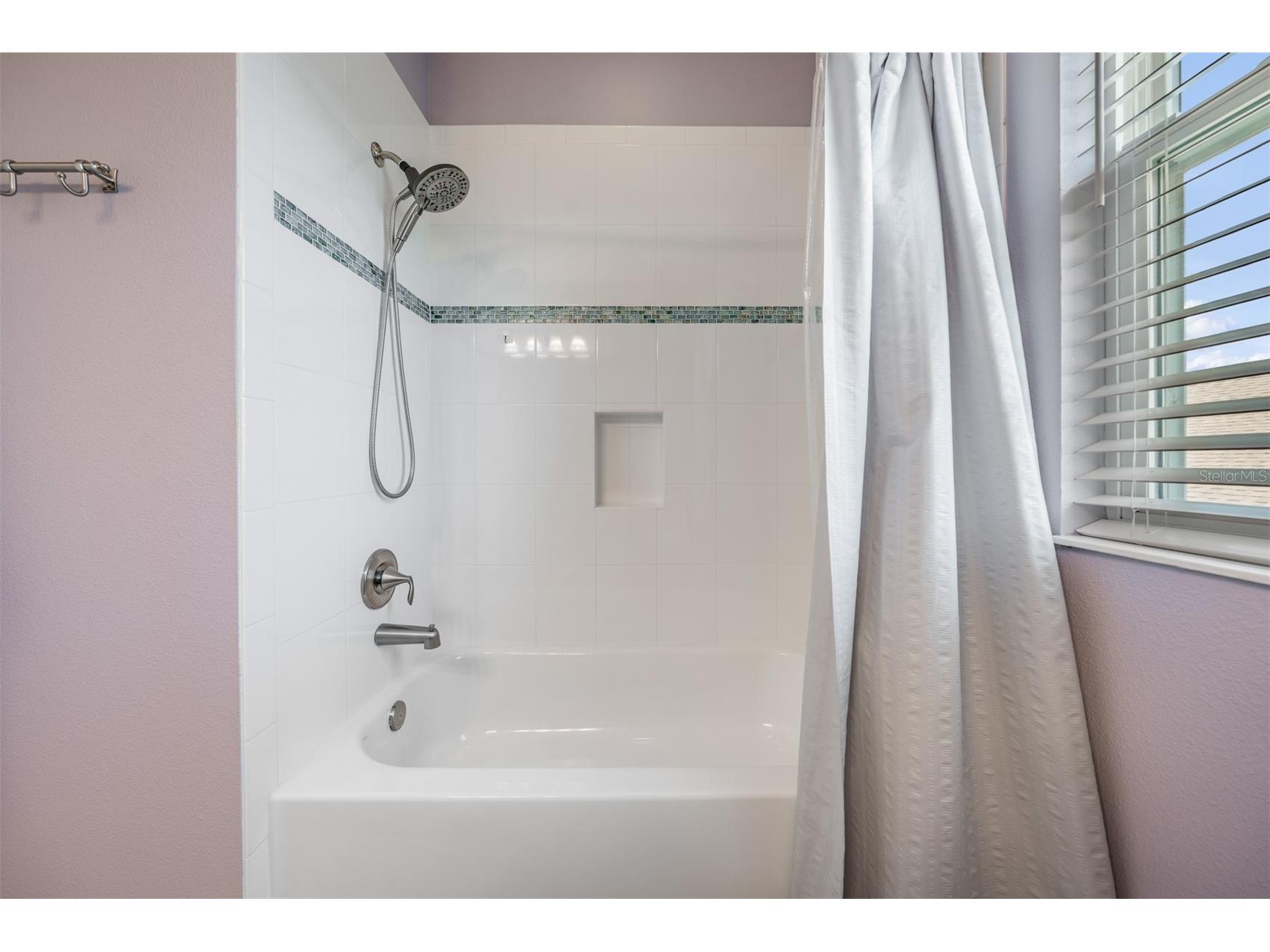 32401 Natural Bridge Road Wesley Chapel FL 33543 TB8464704 image36