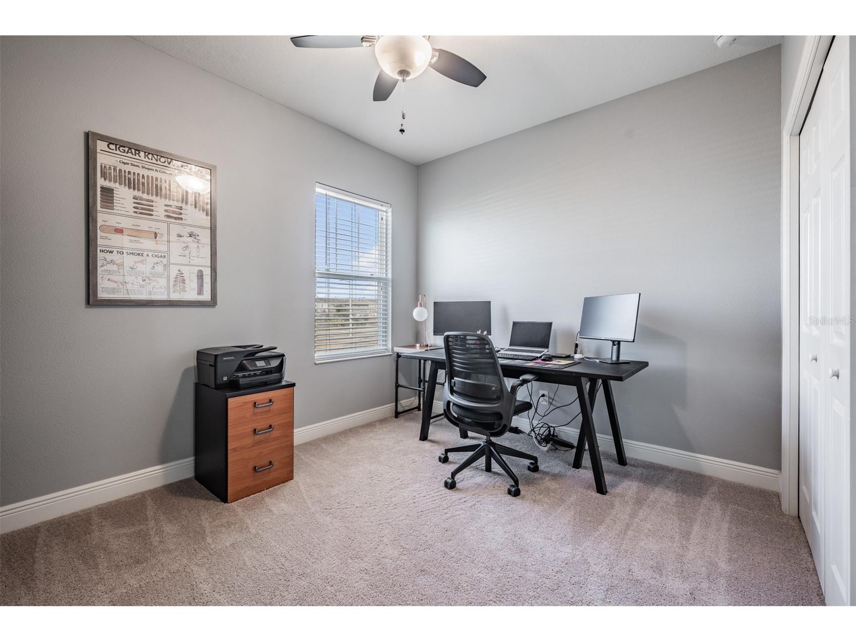 32401 Natural Bridge Road Wesley Chapel FL 33543 TB8464704 image37