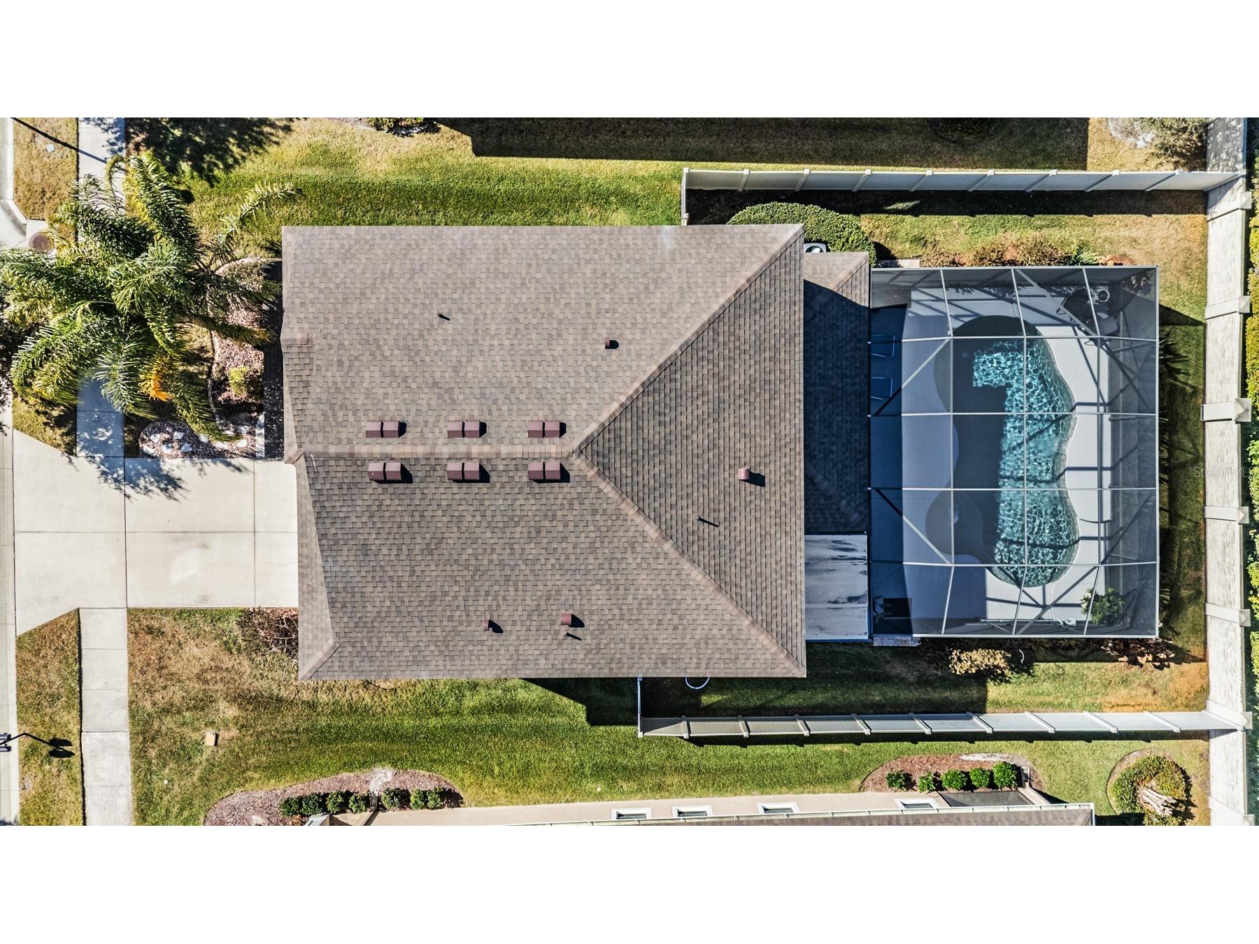 32401 Natural Bridge Road Wesley Chapel FL 33543 TB8464704 image4