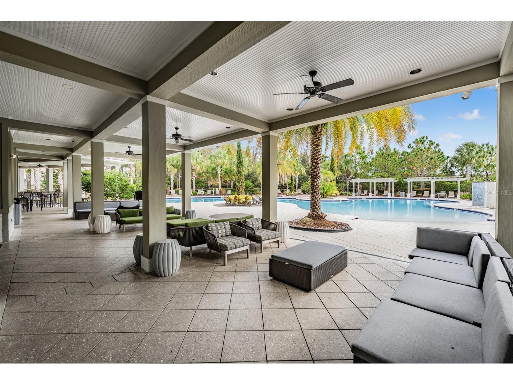 32401 Natural Bridge Road Wesley Chapel FL 33543 TB8464704 image45