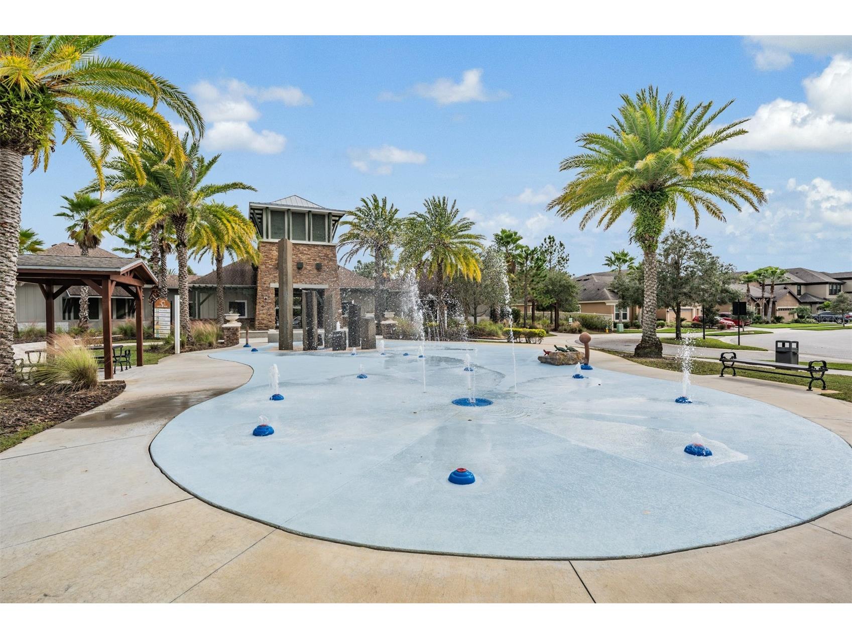 32401 Natural Bridge Road Wesley Chapel FL 33543 TB8464704 image49