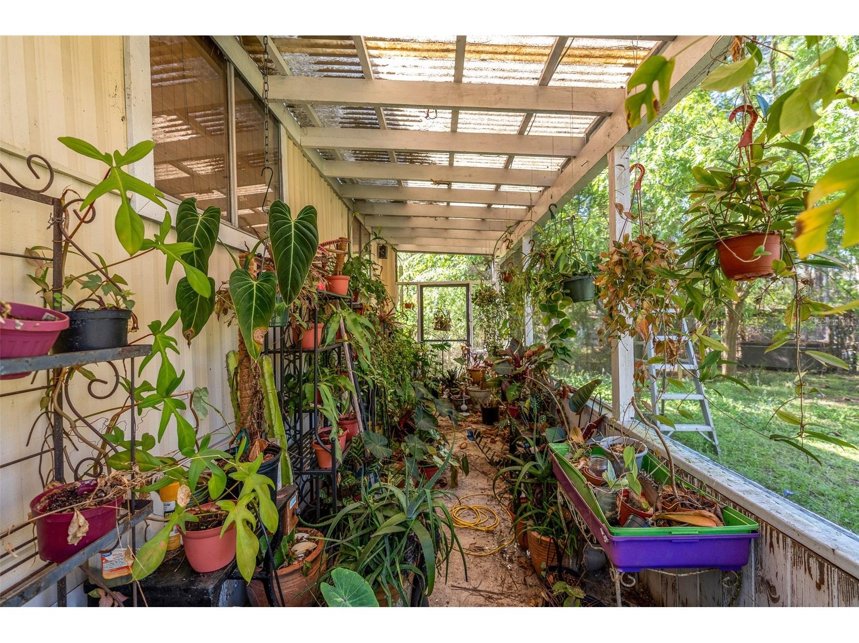 32404 Highland Lakes Road Deland FL 32720 G5110042 image14